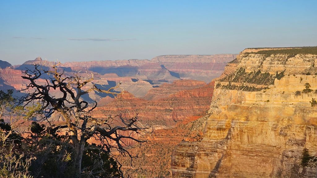 The Magnificent Grand Canyon